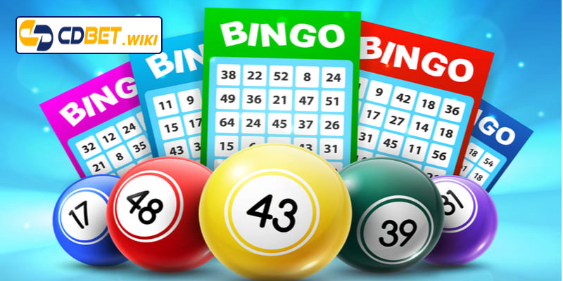 Ưu và nhược điểm dàn đề 20 số nuôi khung 3 ngày